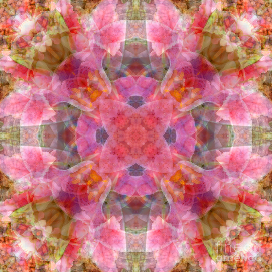 Ball Digital Art - Pink Exhale Mandala by Susan Bloom
