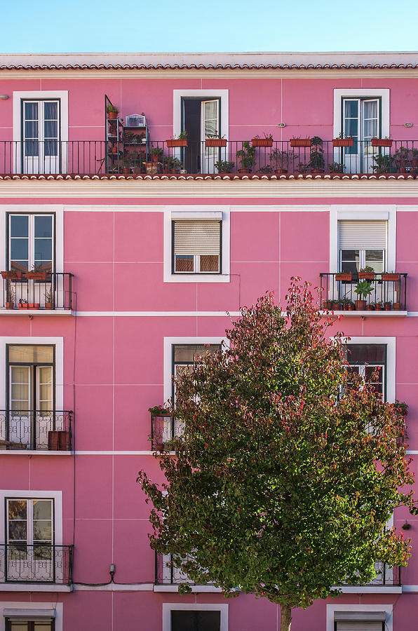 Architecture Photograph - Pink Facade by Carlos Caetano