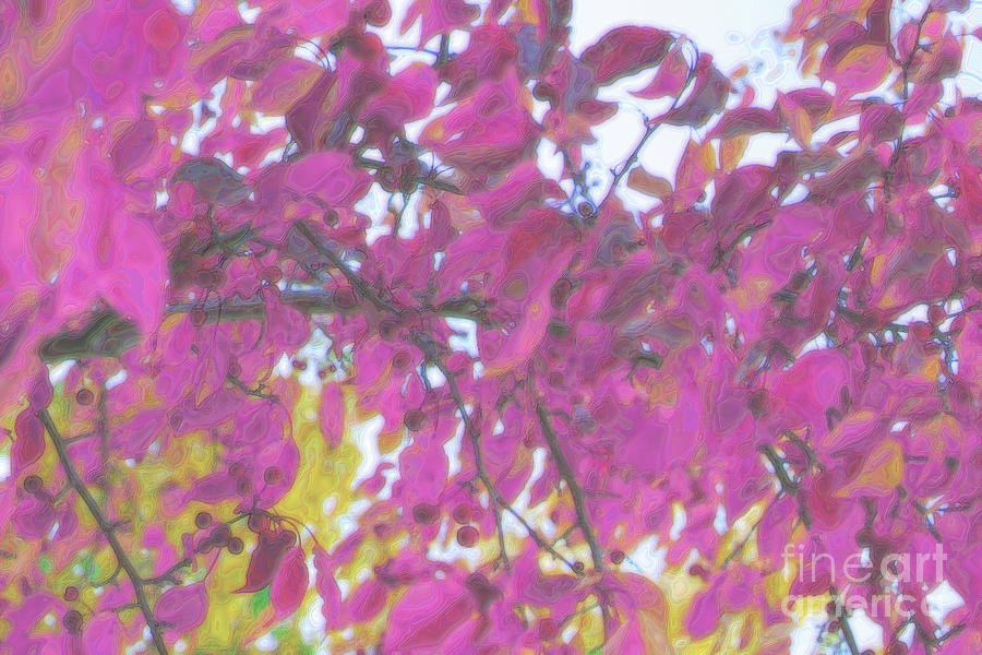 Pink Fall Branches Digital Art by Donna L Munro
