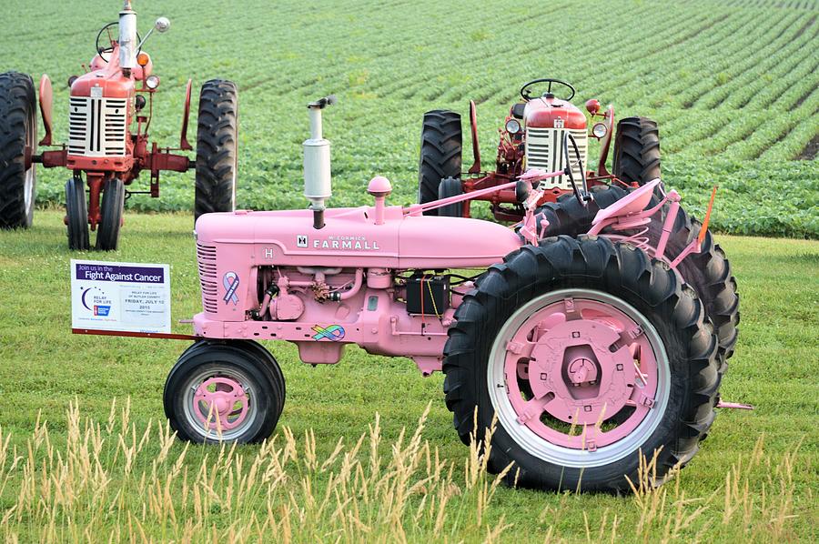 Pink Farmall Photograph by Bonfire Photography