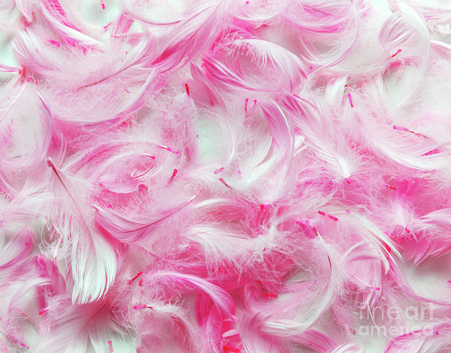 Pink feathers background Photograph by Michal Bednarek - Fine Art America