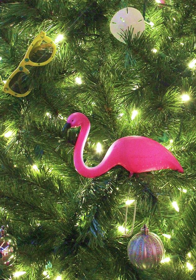 Pink Flamingo Christmas Photograph by Robert Wilder Jr
