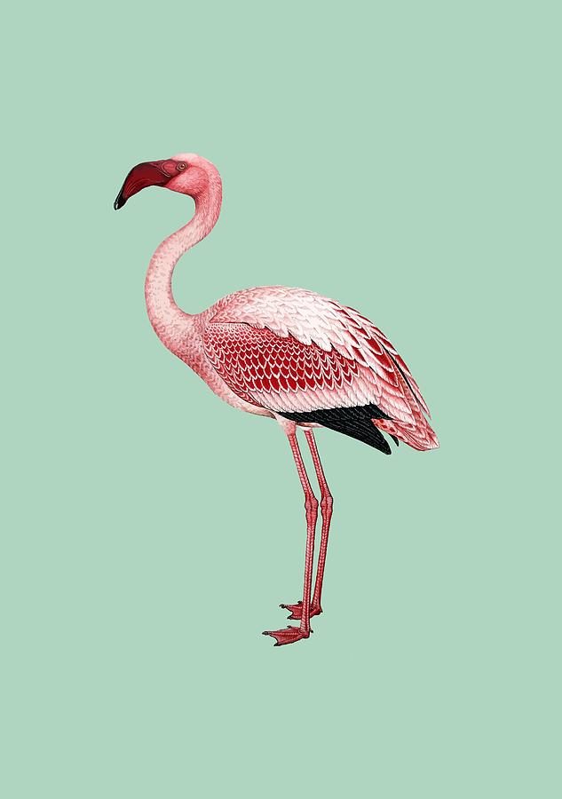 Pink Flamingo Isolated Painting by Taiche Acrylic Art