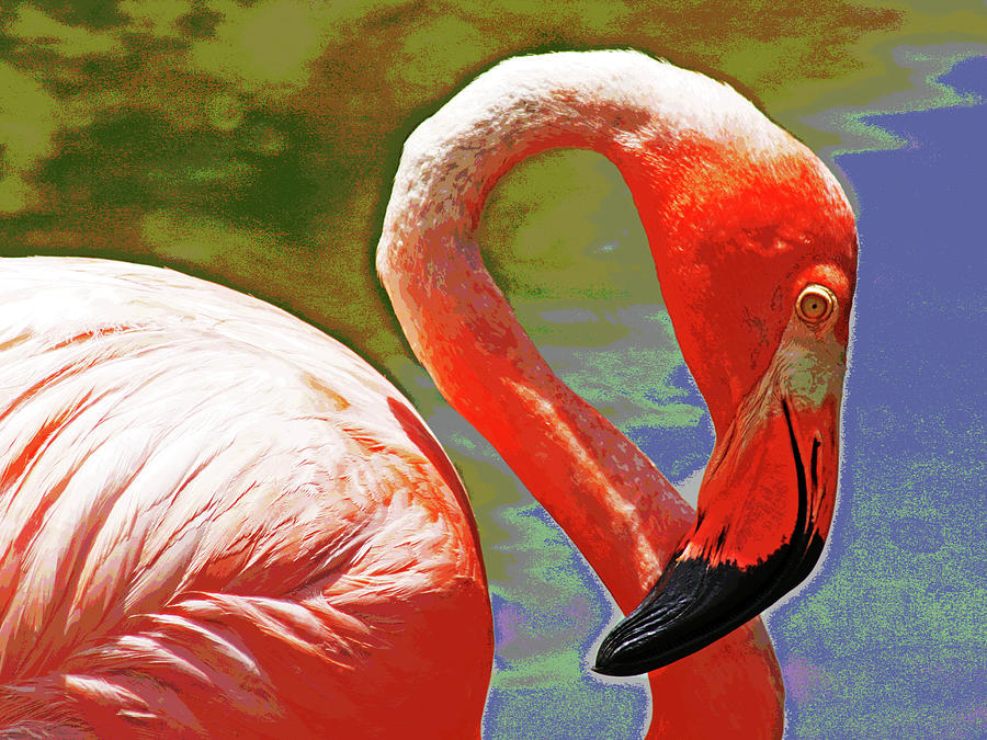 Pink Flamingo Photograph by Larry Oskin