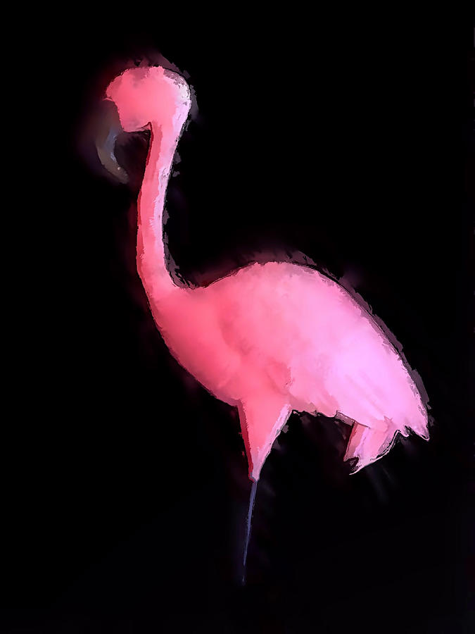 Pink Flamingo Photograph by Morgan Carter