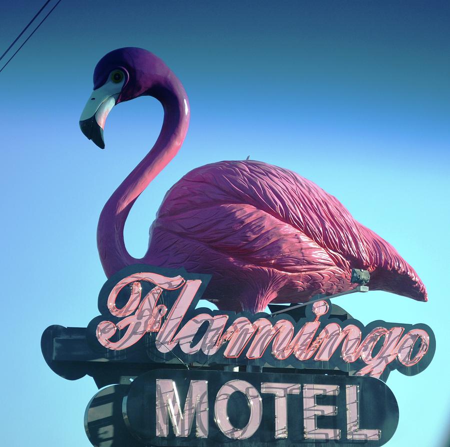Pink Flamingo Sign Photograph