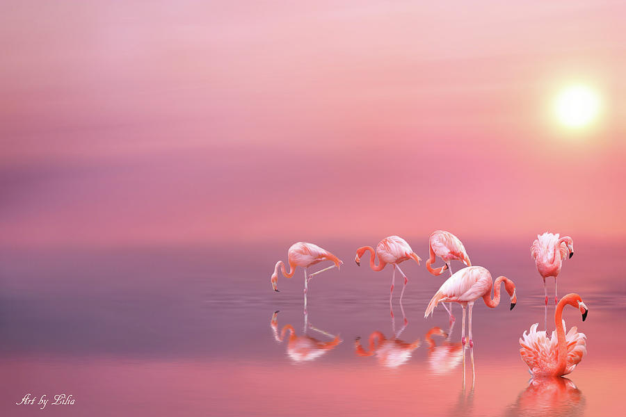 Pink flamingos Photograph by Lilia D