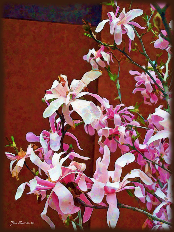 Flower Photograph - Pink Floral Arrangement by Joan  Minchak