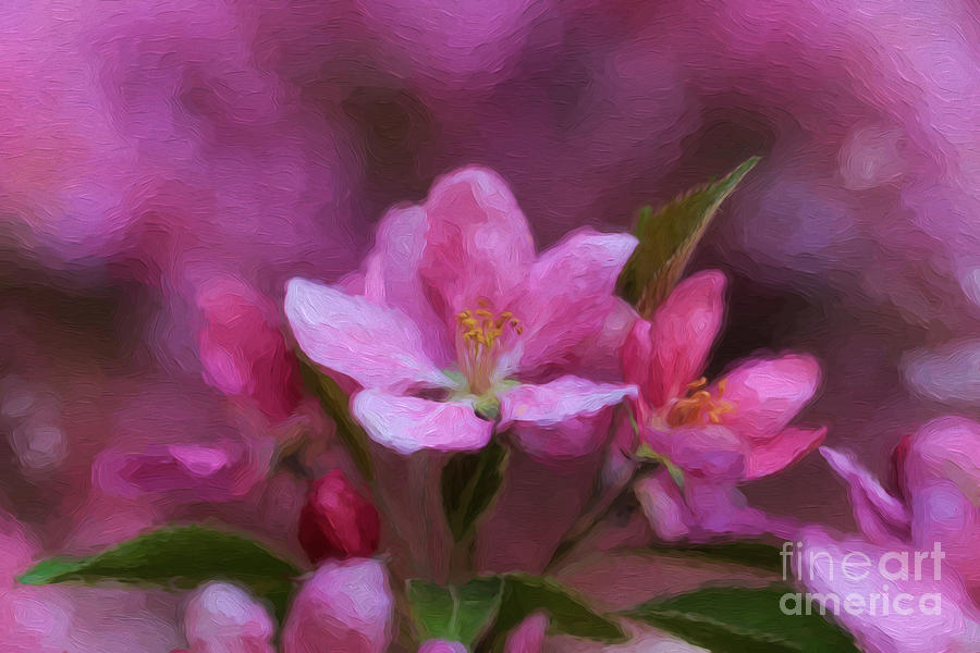 Pink Floral Oil Painting Photograph