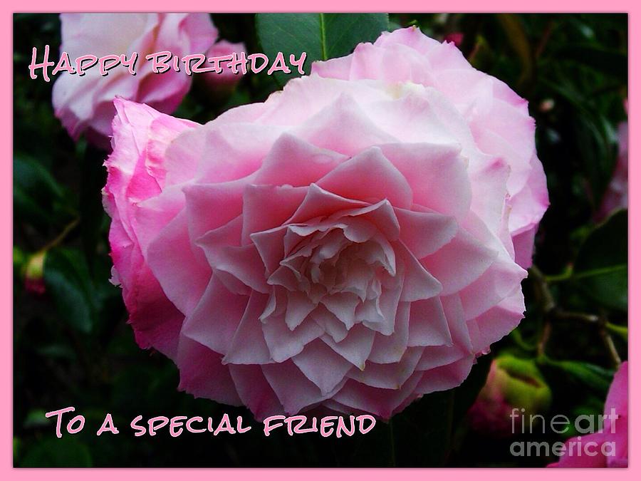 Pink Flower Birthday Greeting Photograph by Joan-Violet Stretch - Pixels