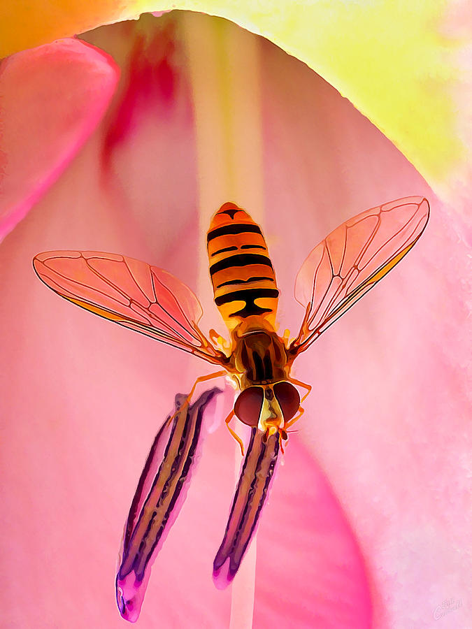 Pink Flower Fly Photograph by ABeautifulSky Photography by Bill Caldwell