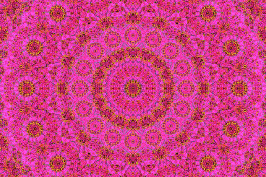 Pink Digital Art - Pink Flower Mandala by Janusian Gallery Pink Digital Art - Pink Flower Mandala by Janusian Gallery