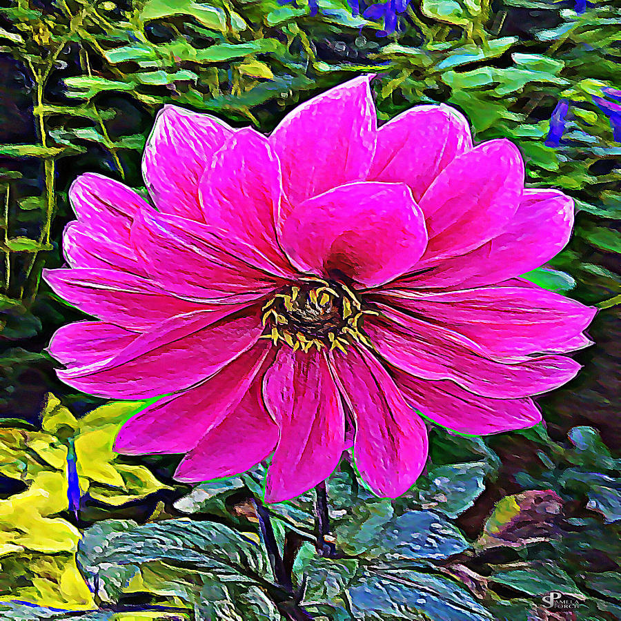 Flowers Still Life Digital Art - Pink Flower of Delicate Balance by Pamela Storch