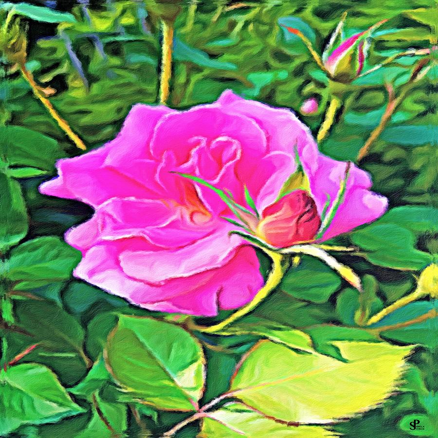 Flowers Still Life Digital Art - Pink Flower of Graceful Beauty by Pamela Storch