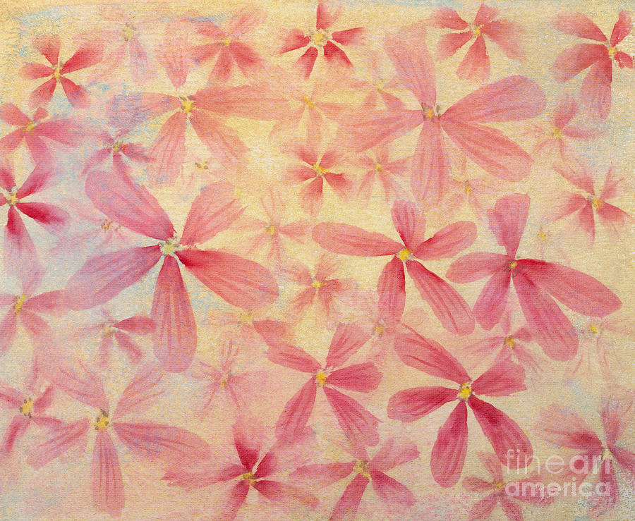 Pink Flowers Painting by Diane Macdonald