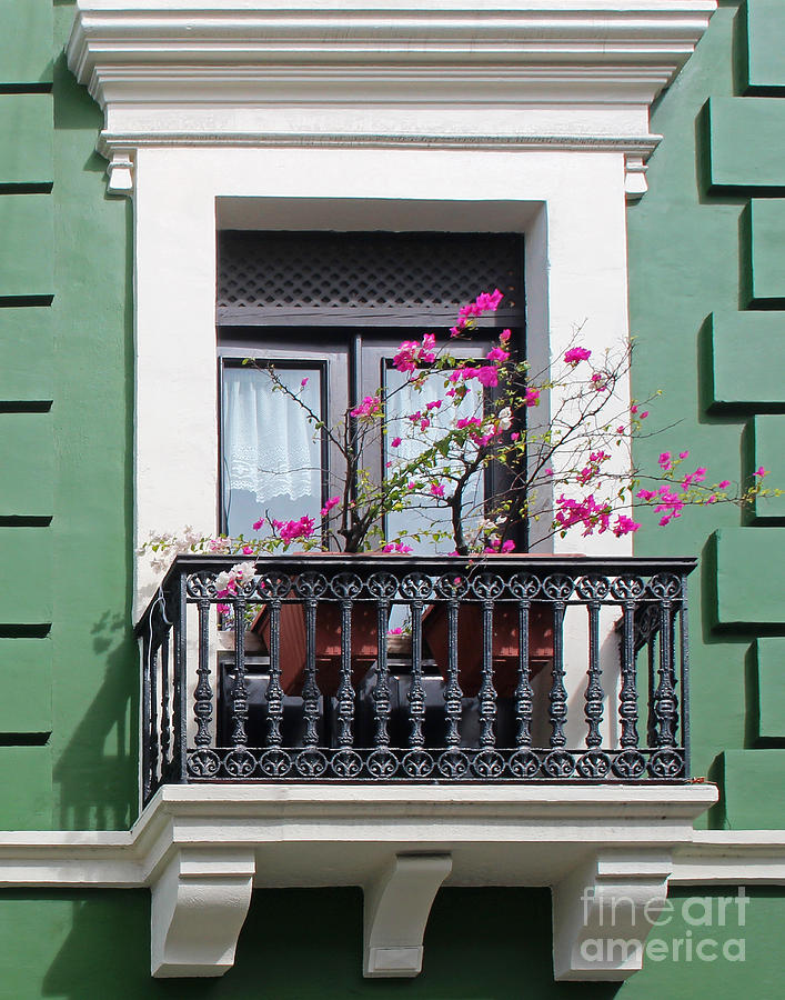 Pink Flowers on Balcony Photograph by Cheryl Del Toro