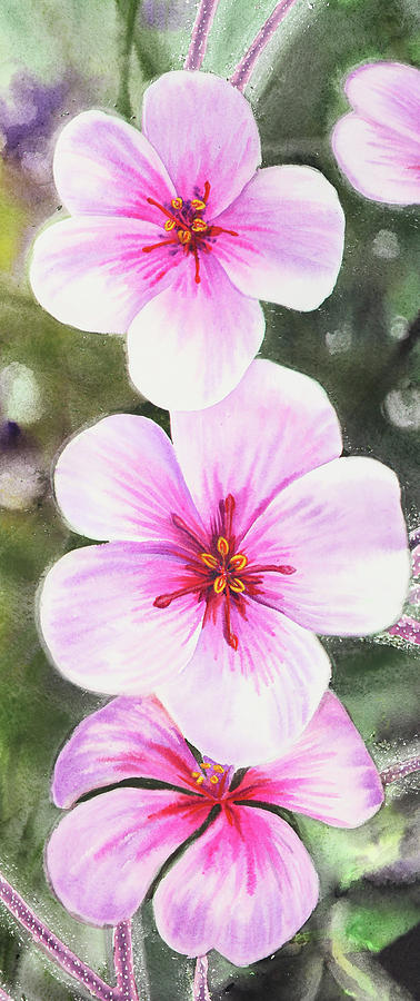 Pink Flowers Watercolors Elongated Format Painting by Irina Sztukowski