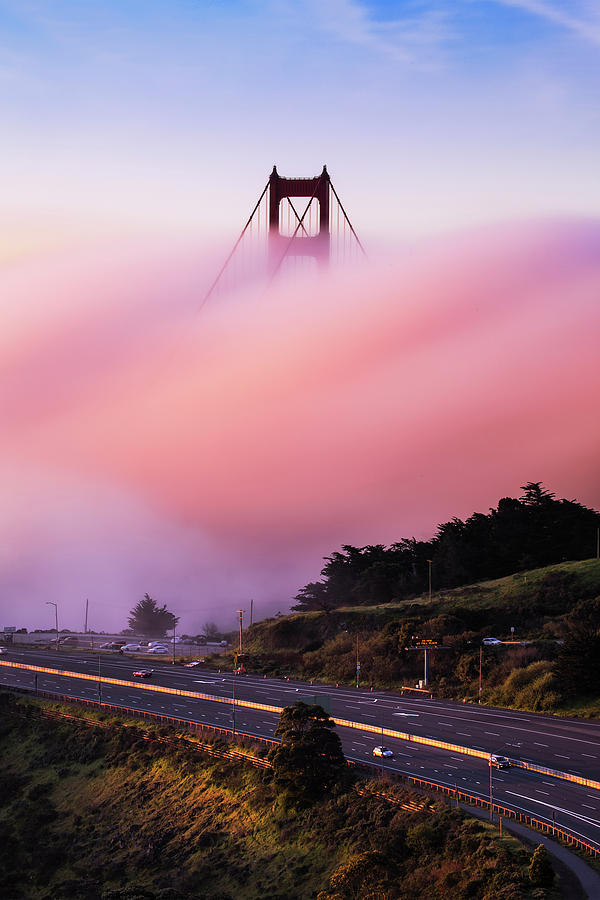 Pink Fog Photograph By Vincent James Fine Art America