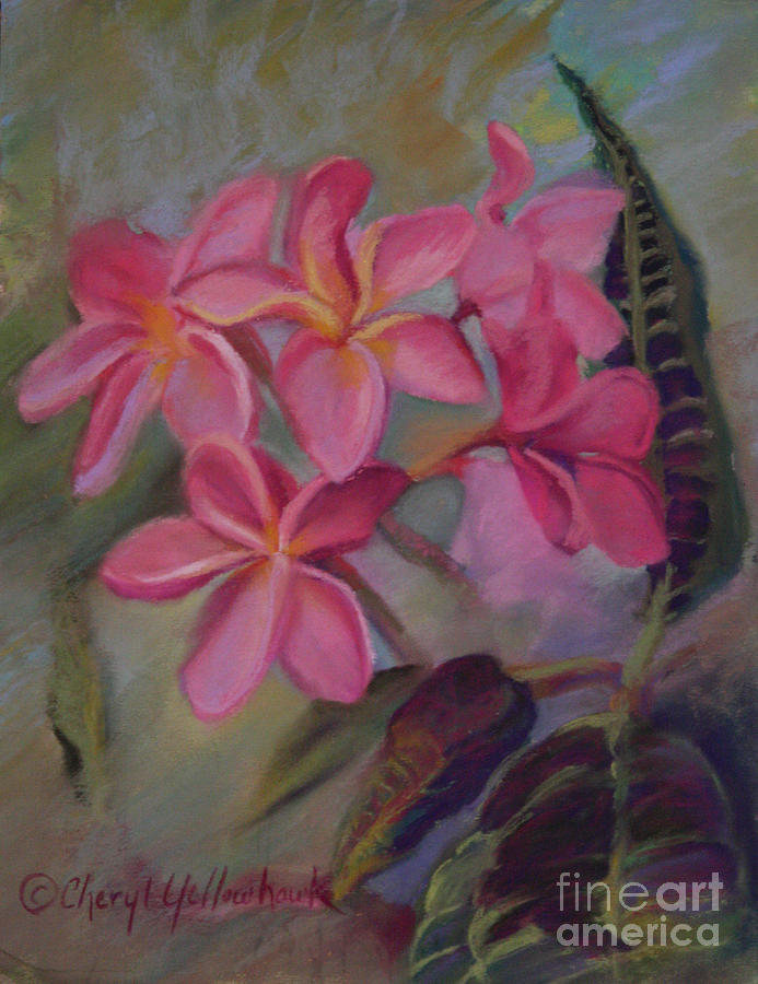 Pink Pastel - Pink Frangipannies by Cheryl Yellowhawk Pink Pastel - Pink Frangipannies by Cheryl Yellowhawk