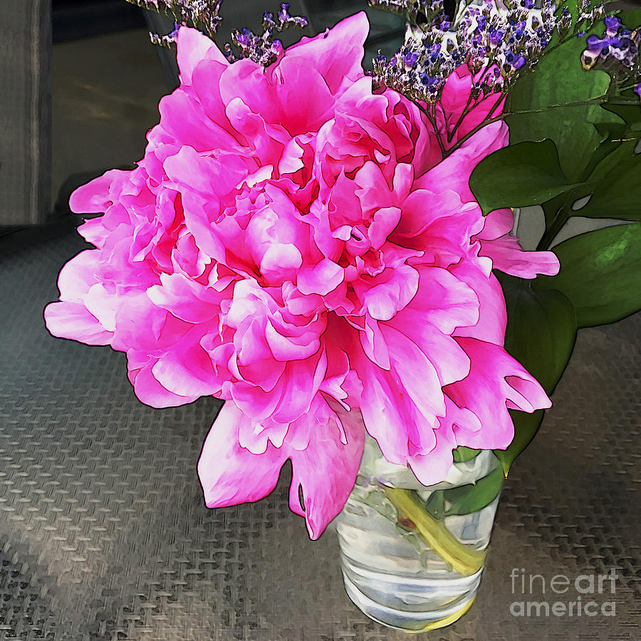 Pink by Frank Merrem Pink by Frank Merrem
