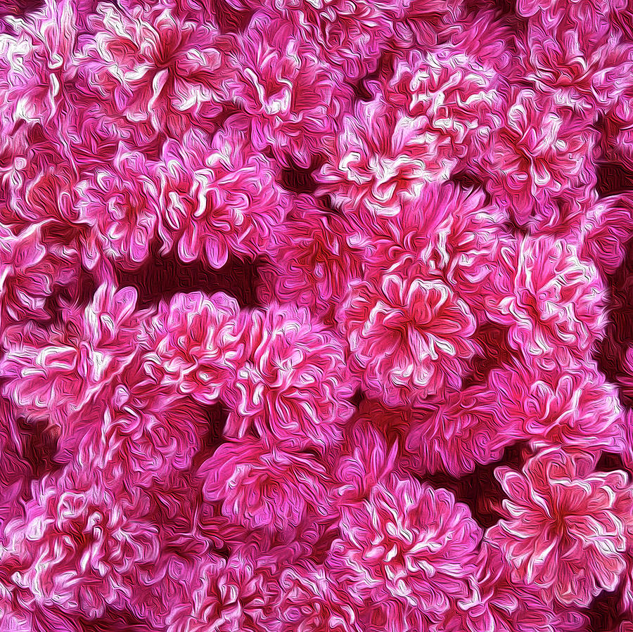Pink Frozen Flowers Photopainting Mixed Media by Johanna Hurmerinta