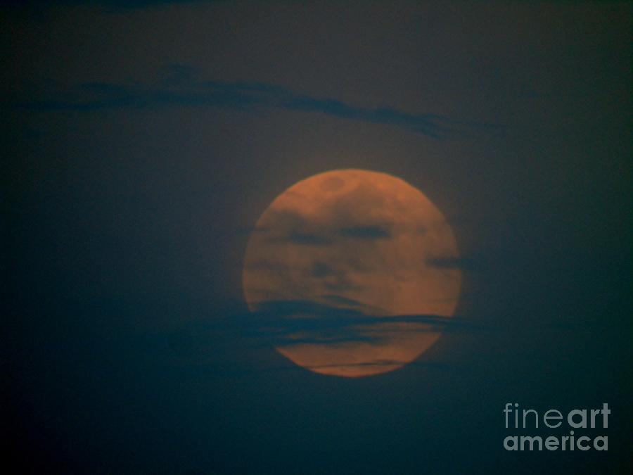 Pink Full Moon April 2016 Photograph by D Hackett