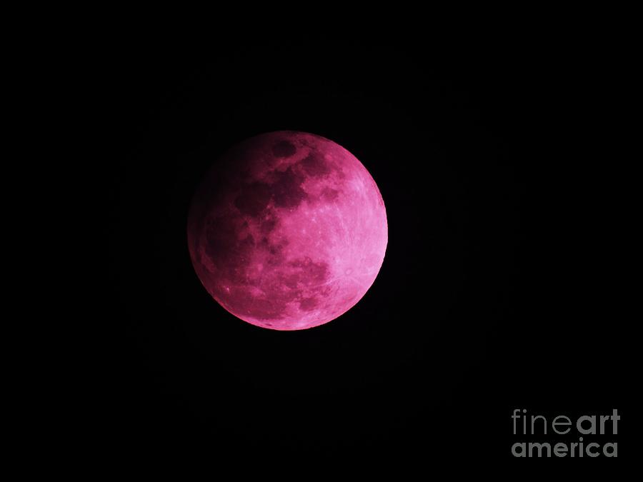 Pink Full Moon in April 2017 Photograph by J L Zarek