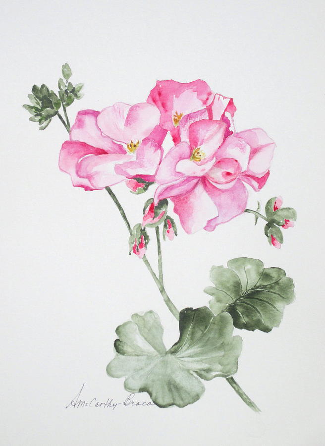 Pink Geranium Painting by April McCarthy-Braca