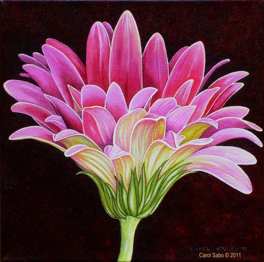 Pink Gerbera Daisy Painting by Carol Sabo
