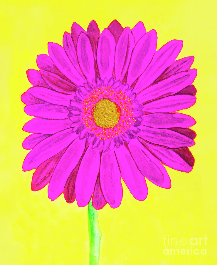 Pink gerbera on yellow, watercolor Painting by Irina Afonskaya