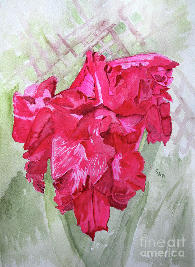 Pink Gladiolus Painting by Sandy McIntire