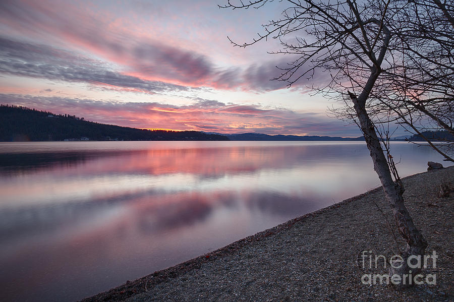 Pink Glass Photograph by Idaho Scenic Images Linda Lantzy