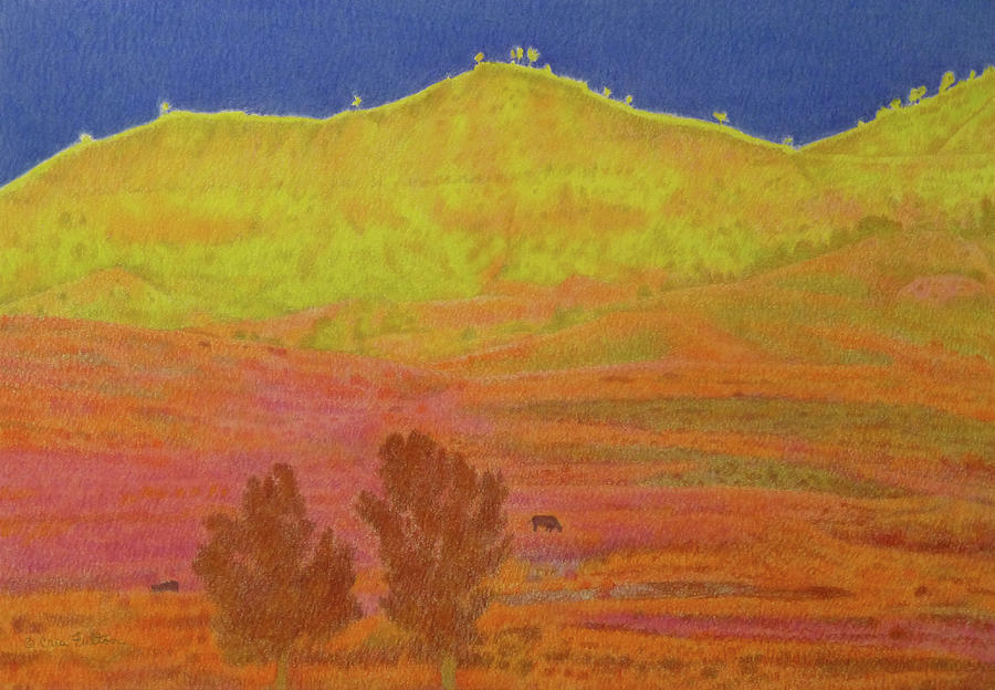 Pink Grass, Montana Drawing by Cris Fulton