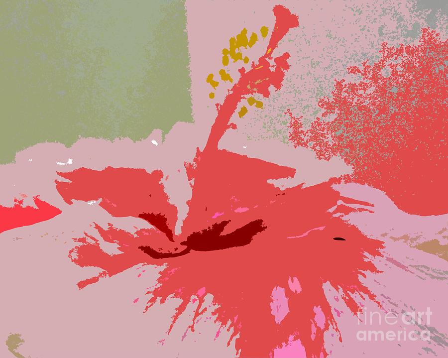 Pink Hibiscus abstract Photograph by Barbie Corbett-Newmin