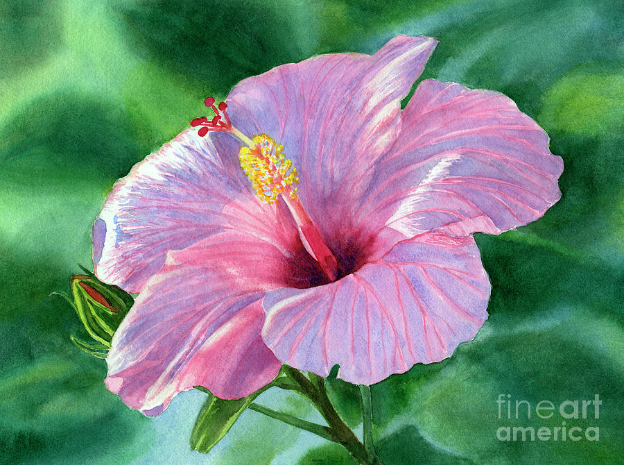 Pink Hibiscus Flower with Leafy Background Painting by Sharon Freeman