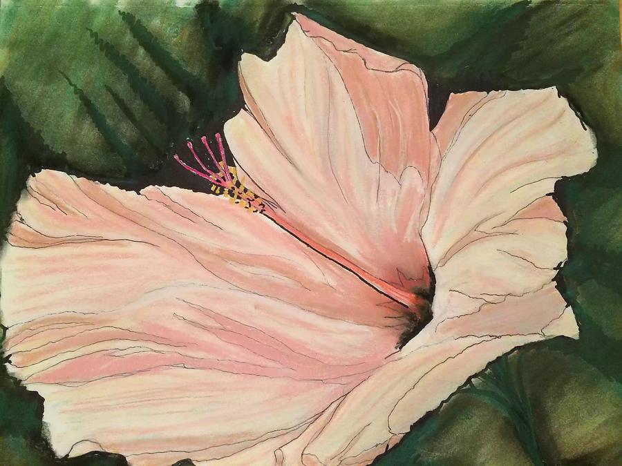 Flowers Still Life Pastel - Pink Hibiscus by John Boyd