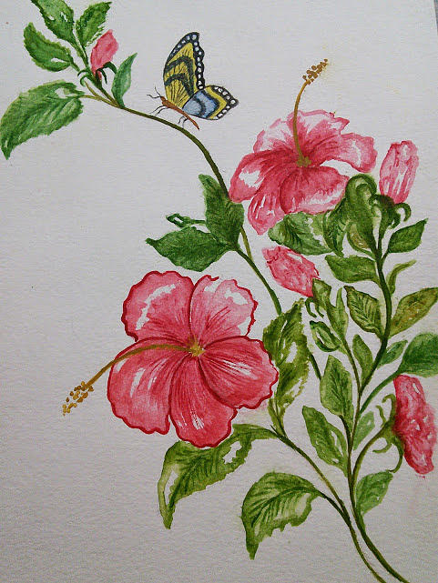 Pink Hibiscus with Butterfly Painting by Susan Nielsen