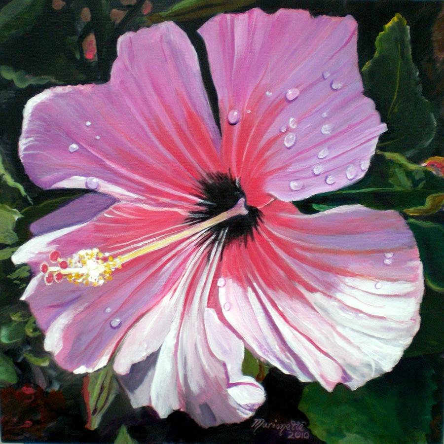 Pink Hibiscus with Raindrops Painting by Marionette Taboniar