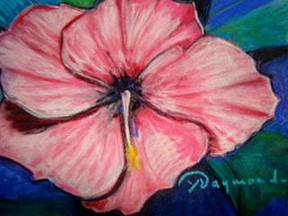 Pink Hibiscus Pastel by Yasemin Raymondo | Fine Art America