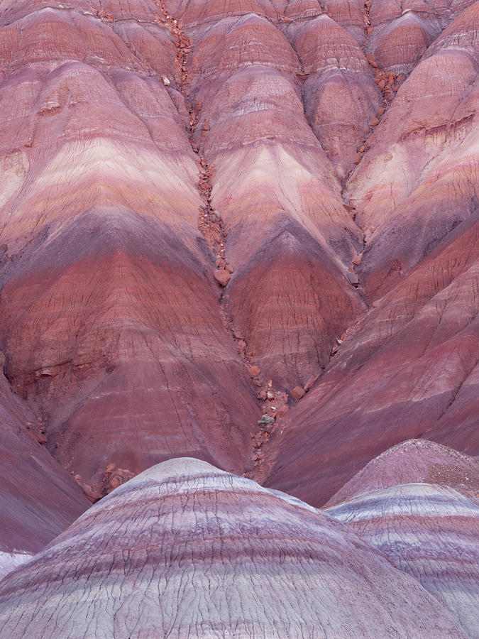 Pink Hills Photograph by Emily Dickey