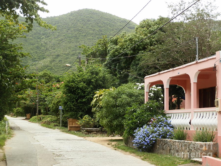 Pink house in Colombier Photograph by Margaret Brooks