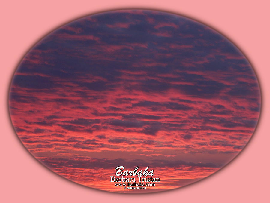 Pink Hues Sunrise #5109 Photograph by Barbara Tristan