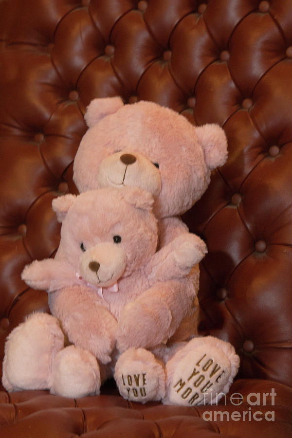 Pink Hugging Bears 2 Photograph by Linda Phelps