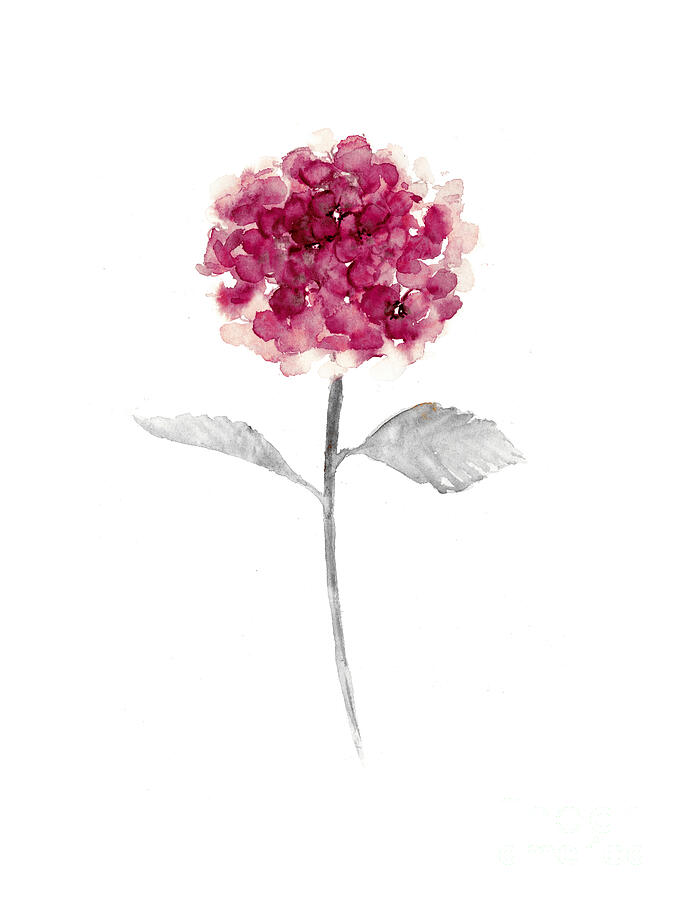 Flowers Painting - Pink hydrangea watercolor art print by Joanna Szmerdt Flowers Painting - Pink hydrangea watercolor art print by Joanna Szmerdt