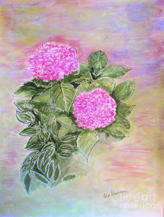 Pink Hydrangeas and Hostas Drawing by Olga Silverman