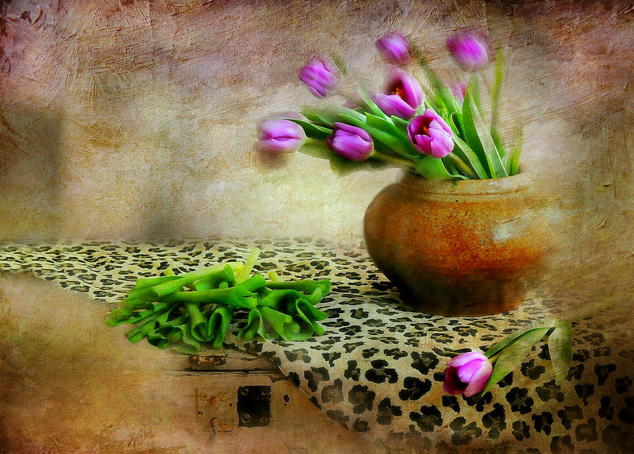 Pink in Clay Pot Photograph by Diana Angstadt