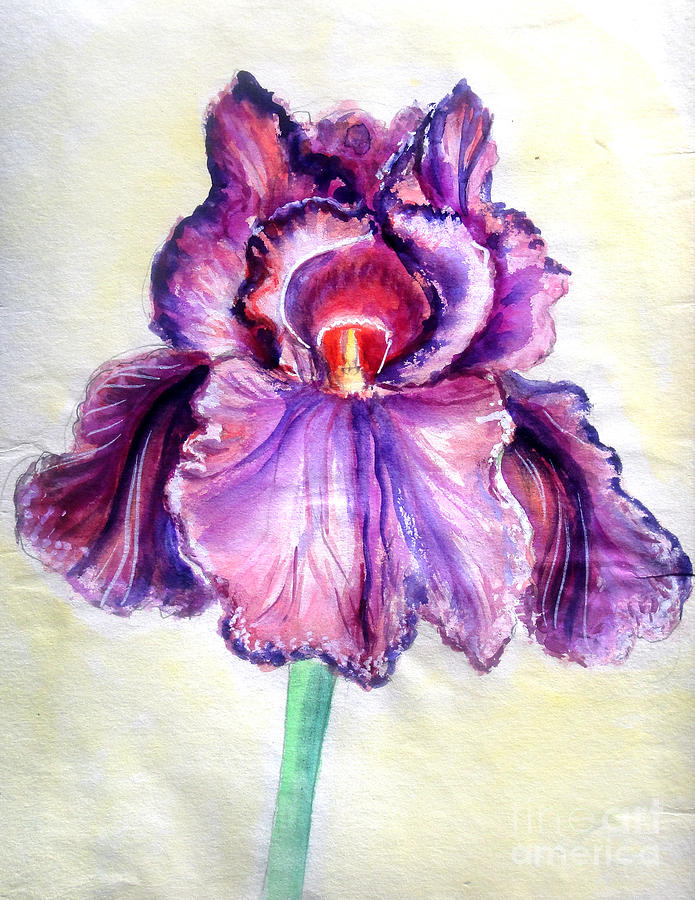 Iris Painting - Pink iris. Fancy beauty by Sofia Goldberg