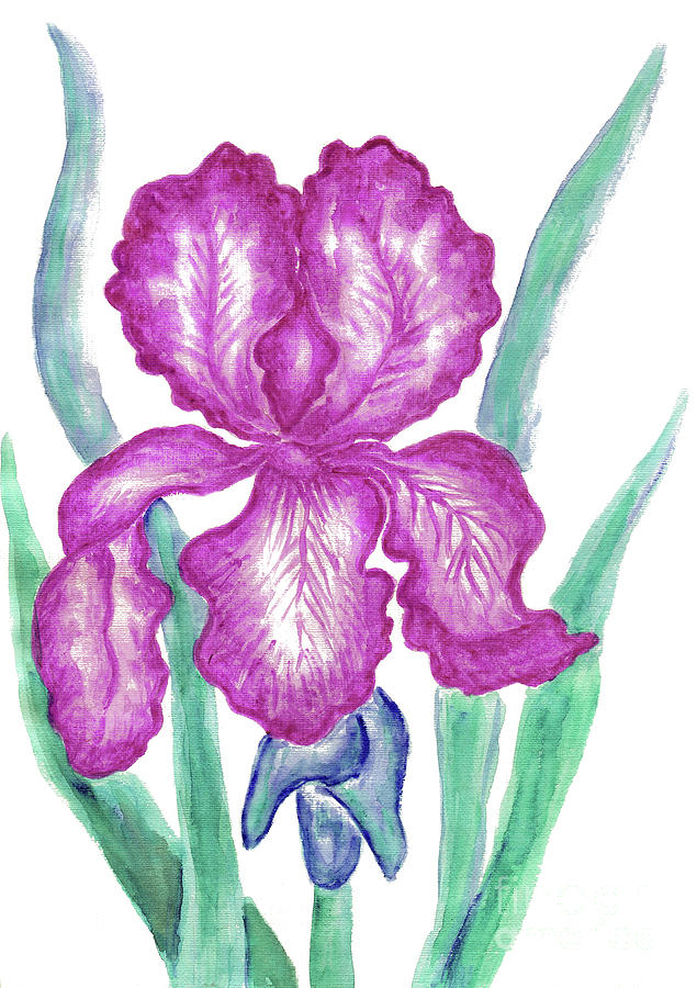 Pink Iris Painting by Irina Afonskaya