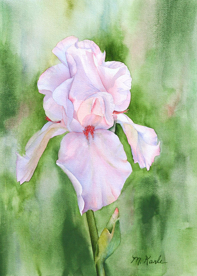 Pink Iris Painting by Marsha Karle