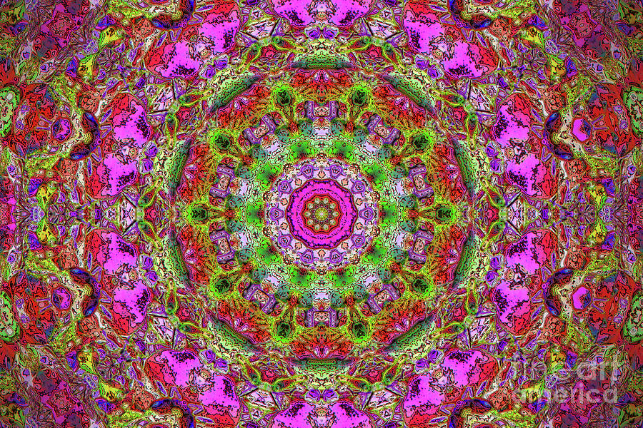 Pink Kaleidoscope Fall Branches Digital Art by Donna L Munro